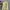 Polo Ralph Lauren Casual Casual shirt Pria yellow photo 1