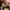VANS Streetwear Skater Sandals & slide Pria multicolor photo 4