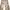 H&M Streetwear Skater Flare pants Wanita tan pink photo 5