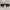 Grunge Futurist Sunglass Pria Brown