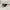 Grunge Futurist Sunglass Pria brown photo 2