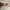 Grunge Futurist Sunglass Pria brown photo 3