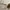 Vintage Grunge Sunglass Pria gold photo 5