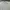 Uniform Bridge Vintage Sportswear T-shirt Pria cream photo 2