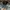 47 Brand Casual Hat Pria gray photo 5