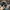 47 Brand Casual Hat Pria gray photo 3