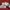 Converse Streetwear Casual Sneakers Pria cream photo 4