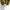 Nike Streetwear Casual Sneakers Pria black yellow photo 4