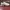 K2 Gorpcore Sportswear Sneakers Pria white gray photo 5