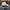 Jeep Casual Hat Pria cream photo 4