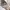 Marc Jacobs Vintage Coquette Heels Wanita silver gray photo 8