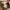 Christian Louboutin Cosplay Futurist Sneakers Pria orange photo 5