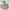 Daisy Lovers Y2K Coquette Puffer jacket Wanita tan red photo 4