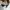 Streetwear Skater Sneakers Pria green photo 4
