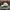 Casual Hat Pria cream photo 2