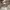 Casual Hat Pria white photo 6