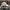 ELLE Casual Hat Pria white photo 4