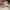 ELLE Casual Hat Pria white photo 6