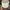 ELLE Casual Hat Pria white photo 5