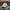 Fila Casual Hat Pria gray photo 1