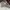 Fila Casual Hat Pria gray photo 6