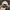 Fila Casual Hat Pria gray photo 3