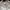 Casual Hat Pria white gray photo 6