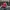 Casual Hat Pria white red photo 1