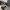 VANS Skater Casual Sneakers Kids white black photo 4