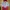 The North Face Gorpcore Casual Windbreaker Wanita red gray photo 2