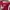Dickies Casual Hoody Pria red photo 7