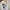Russell Athletic Casual Hoody Pria cream photo 6