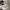Russell Athletic Casual Hoody Pria cream photo 7