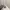 Russell Athletic Casual Hoody Pria cream photo 4