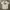 Dickies Luxury T-shirt Pria white photo 1