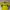 Vintage Jersey Pria yellow photo 1