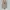 Nike Streetwear Casual Sneakers Pria white tan photo 5