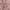 Casual Muslim Going out dress Wanita pink photo 4