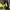 Gorpcore Casual Leather jacket Pria navy yellow photo 3