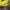 Gorpcore Casual Leather jacket Pria navy yellow photo 5