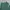Frank Stone Streetwear Sportswear Pria green photo 3