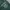 Frank Stone Streetwear Sportswear Pria green photo 4