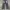 Streetwear Y2K Jeans Pria gray photo 2