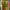 Adidas Vintage Casual Capes & poncho Pria green yellow photo 6