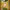 Adidas Vintage Casual Capes & poncho Pria green yellow photo 1