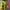 Adidas Vintage Casual Capes & poncho Pria green yellow photo 5