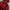 DOHC Streetwear Y2K Windbreaker Pria red photo 2