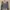 Vintage Trench coat Wanita multicolor photo 4