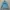 Vintage Trench coat Wanita multicolor photo 2