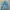 Vintage Trench Coat Wanita Multicolor